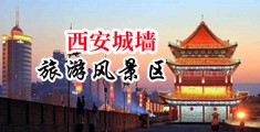 看女生逼的东西网战中国陕西-西安城墙旅游风景区